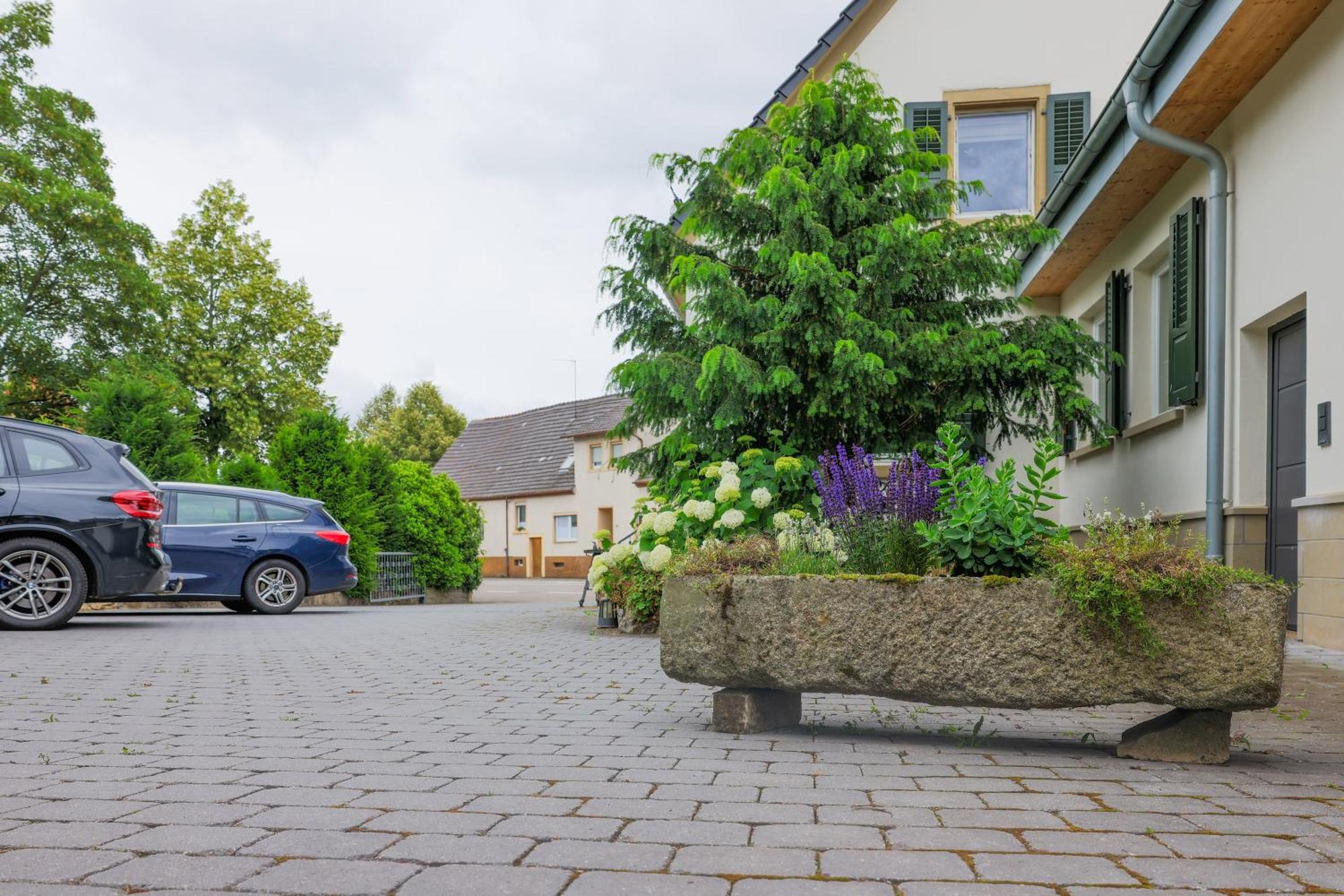 Heimatlodge Sinsheim Kültér fotó